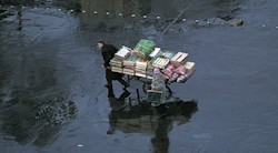 <p>Fotograf&Atilde;&shy;as con historia</p>
