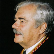 Manuel Cobo del Rosal