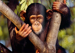 <p>Humanos sin historia</p>
