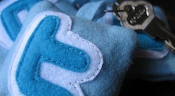 <p>Twitter estudia lanzar una versi&Atilde;&sup3;n Premium de pago</p>

