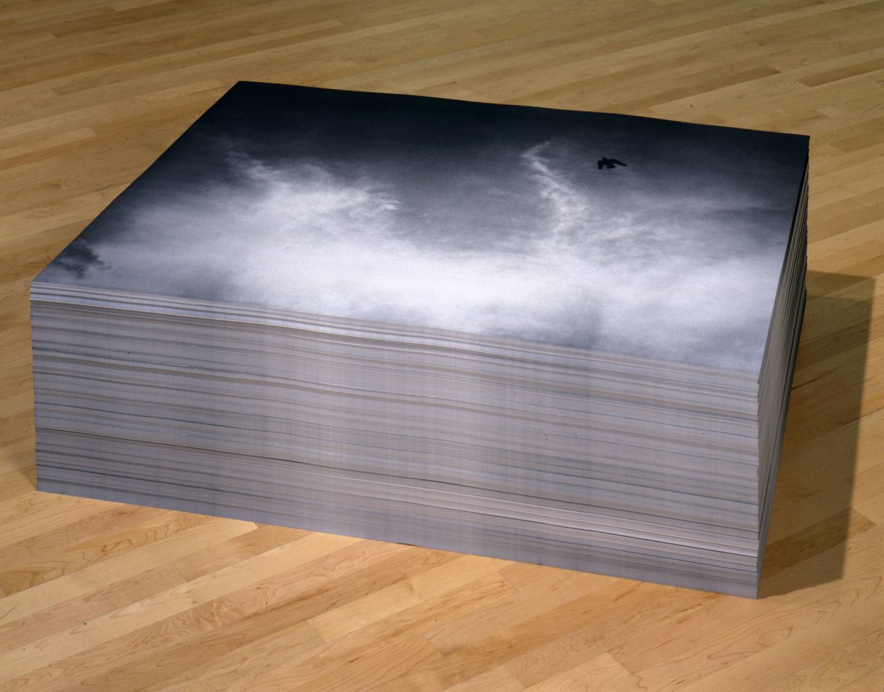 Felix Gonzalez Torres. Untitled. 1992/1993. Impresión sobre papel. 113 cm x 85,09 cm. Instalación Public Information: Desire, Disaster, Document. The San Francisco Museum of Modern Art (SFMOMA), 1995. Fotografía de Ben Blackwell. © Estate Felix Gonzalez-Torres, Cortesía Felix Gonzalez-Torres Foundation