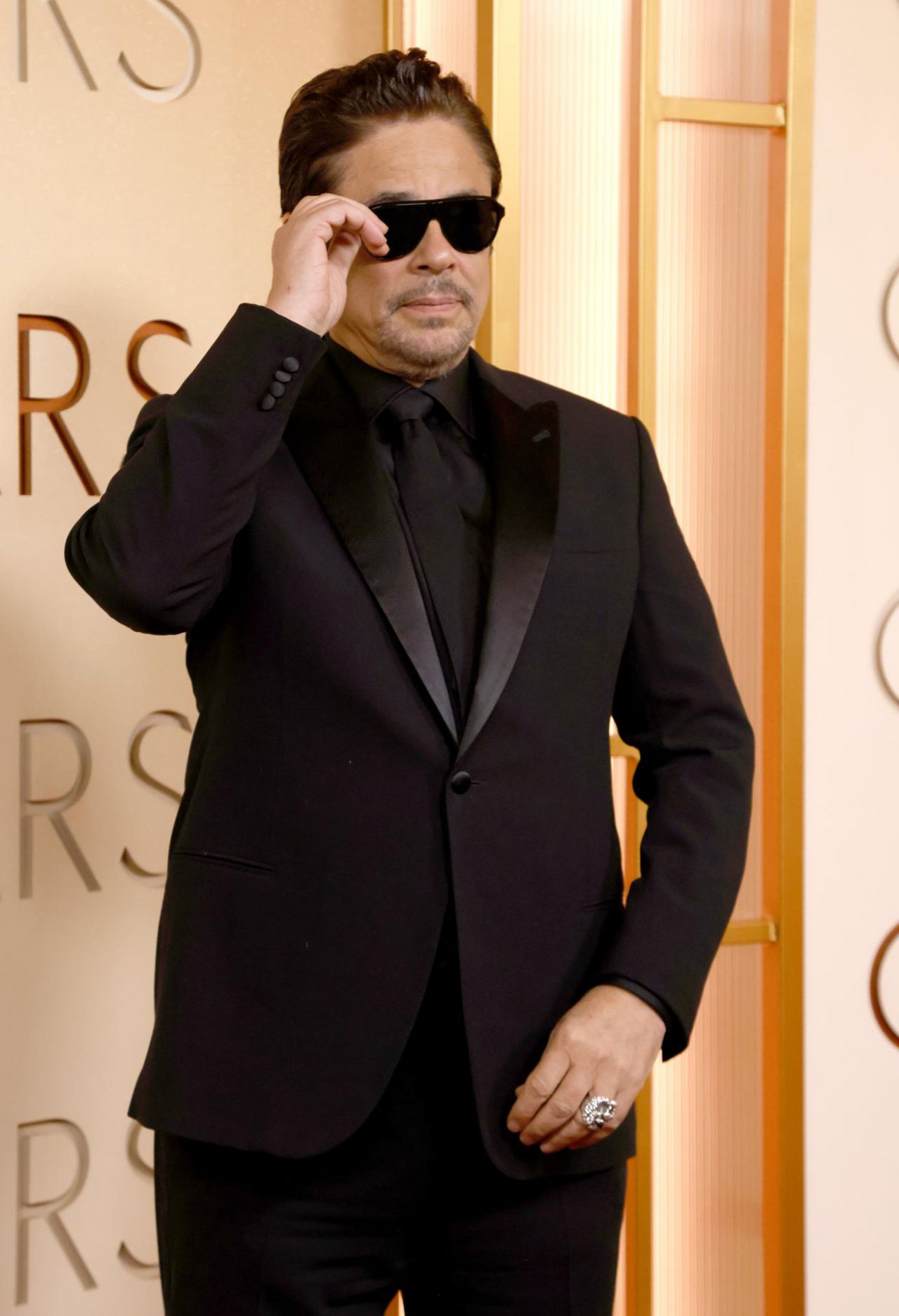Benicio del Toro