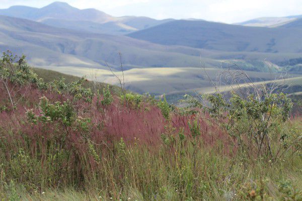 Durante 30 meses un grupo de científicos ha recorrido 14 hábitats diferentes desde los Andes a la Amazonia.