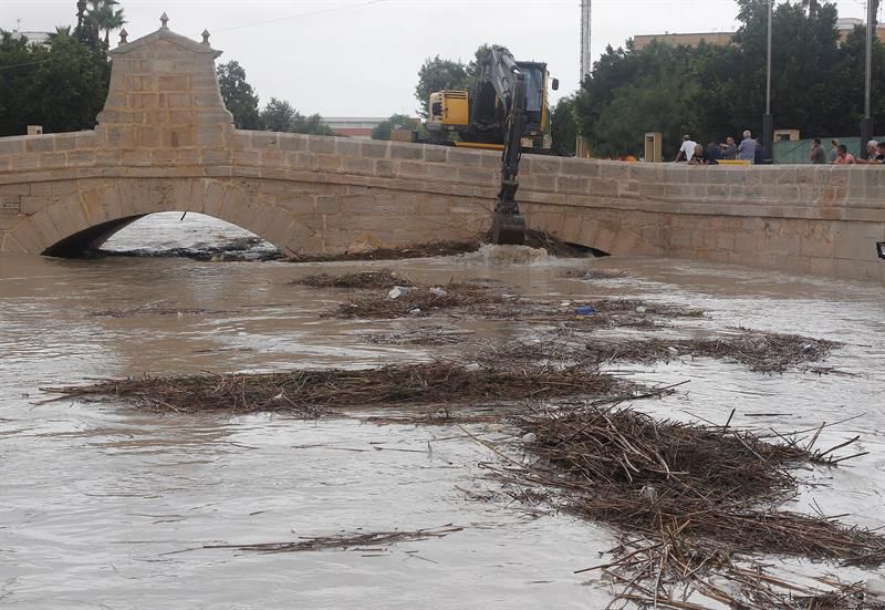 Una retroexcavadora limpia este viernes los ojos del puente de Rojales (Alicante).