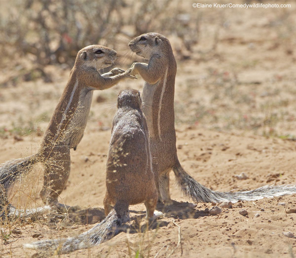 'Primero llega el amor, luego el matrimonio'