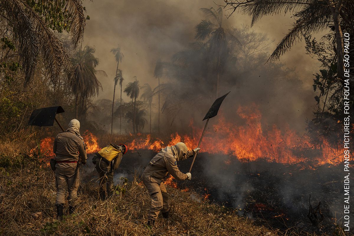 Los bomberos combaten un incendio en la finca São Francisco de Perigara, que alberga una de las mayores poblaciones de guacamayos en Brasil, el 14 de agosto de 2020. Aproximadamente el 92 por ciento del área de la finca, principalmente dedicada a la conservación fue destruido por el fuego.