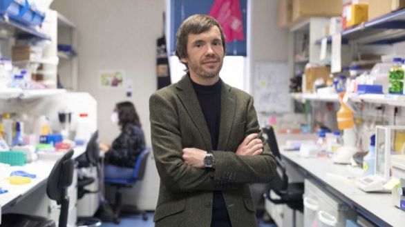 Científicos españoles hallan una nueva estrategia contra la metástasis cerebral