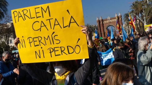 Profesores denuncian un 