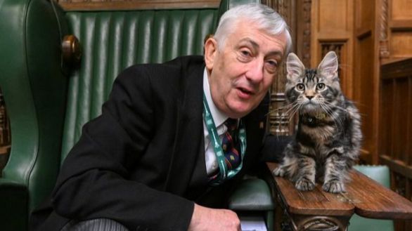 Un gato con nombre de primer ministro se sienta en la Cámara de los Comunes
