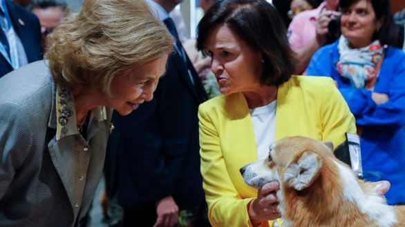 La Reina Sofía inaugura en Madrid el mayor evento canino del mundo