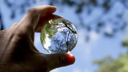 Telefónica contribuirá a conservar, restaurar y plantar 1 billón de árboles para 2030