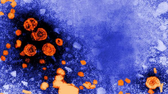 Sanidad confirma las dos primeras muertes por la hepatitits infantil de origen desconocido