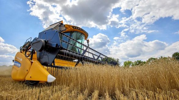 Ucrania exportó 1,68 millones de toneladas de cereal en el primer mes de acuerdo