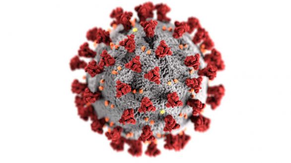 Los hombres tienen más riesgo de infección grave por SARS-CoV-2