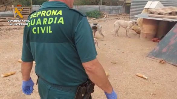 Investigado por maltratar a 16 perros en la Merindad de Tudela (Navarra)