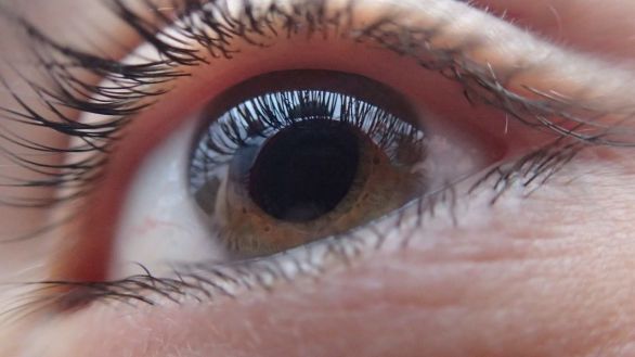 Una prueba ocular con inteligencia artificial predice el riesgo de enfermedad cardiaca