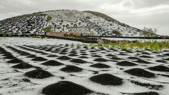 Una espectacular granizada cubre de blanco las Montañas del Fuego en Lanzarote