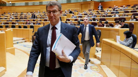 El PP considera al Gobierno 