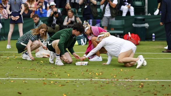 Wimbledon. Así han interrumpido los ecologistas un partido