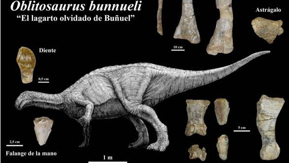Descubren el mayor ornitópodo europeo del Jurásico