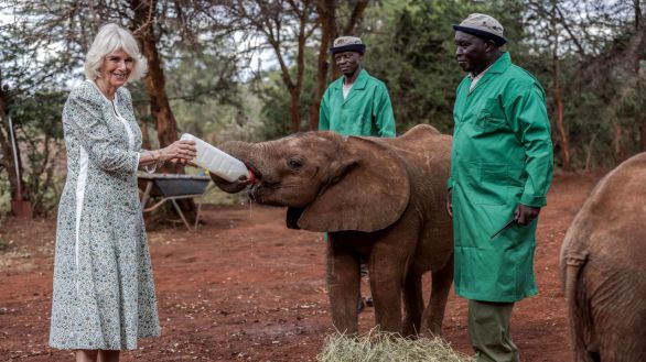 Carlos III y Camila continúan su viaje a Kenia