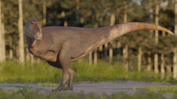 'Koleken', el feroz cazador que reescribe la historia de los últimos dinosaurios