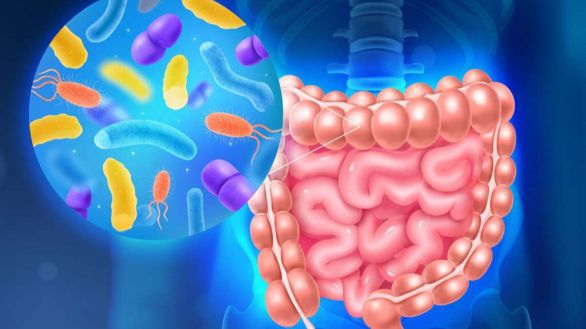 Las bacterias intestinales alertan del cáncer colorrectal