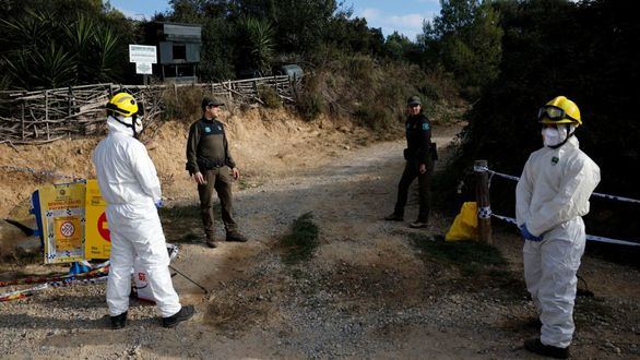 Se elevan a 26 los jabalís muertos por peste porcina en el primer foco