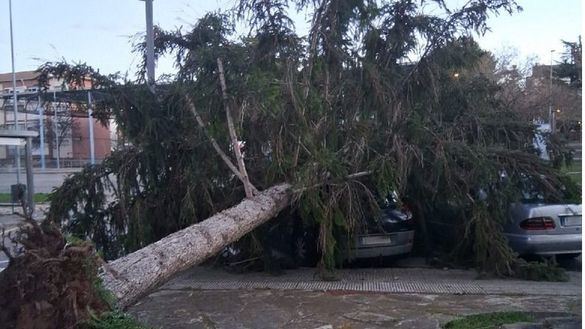 Viento extremo en Cataluña: muere una mujer por el derrumbe de un techo de una nave industrial en Barcelona
