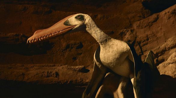 Descubren más de cien fósiles de pterosaurios en el yacimiento El Pozo de Teruel