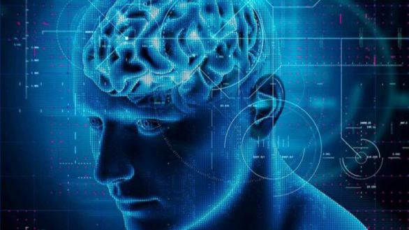 ¿Cómo se deteriora el cerebro durante el envejecimiento?