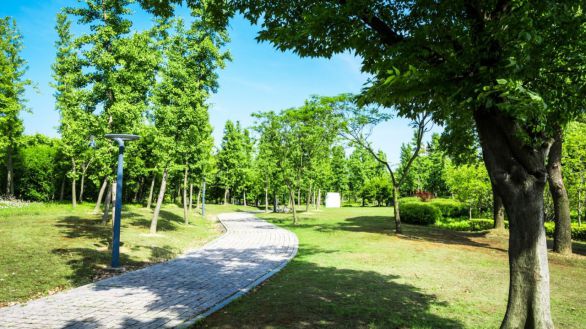 Montecarmelo tendrá un nuevo parque con más de 1.600 árboles