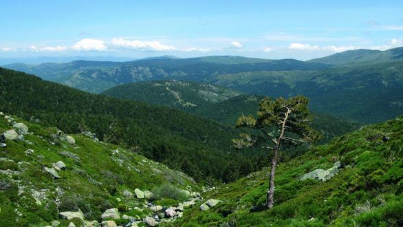 El Parque Nacional de la Sierra de Guadarrama tendrá 1.600 hectáreas más