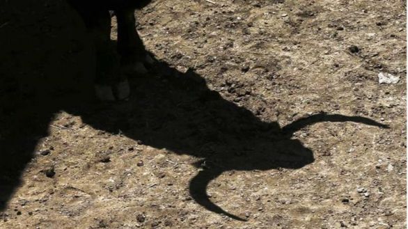 Crónica taurina | Domingo de Resurrección en Las Ventas