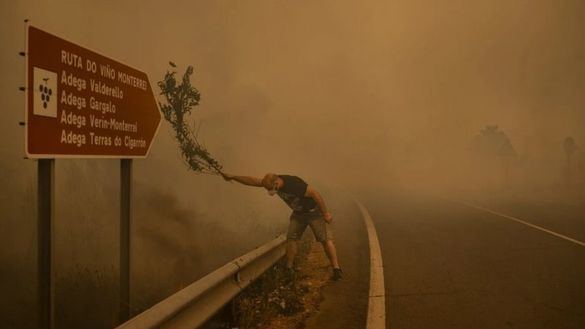 Tres fotógrafos españoles, premiados con el World Press Photo