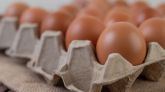 Los huevos son un 14,7 % más caros que hace un año y las legumbres suben un 5 % en un mes