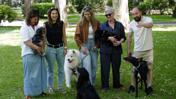 Una aplicación española monitoriza la salud de los perros para prevenir enfermedades