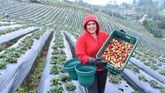 Agricultora de la Fundación Microfinanzas BBVA