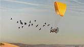 Fotografía tomada por Gunnar Hartmann de dos científicos en un ultraligero siguiendo a una bandada de ibis eremita (Geronticus eremita) durante su migración por los campos de Jaén.