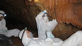 Hallan ADN milenario en las pinturas rupestres en cuevas de España y Portugal