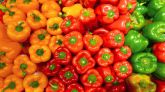 Santander apoya al sector agroalimentario español con 3.800 millones € en la primera mitad de 2026