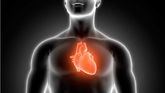 Identifican una nueva estrategia para prevenir las arritmias cardiovasculares
