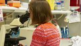 Descifrar el cerebro para entender el metabolismo y la infertilidad