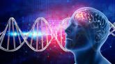Esquizofrenia: más de 640 genes asociados