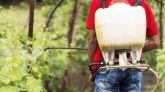 Los estudios sugieren que las decisiones individuales, repetidas en distintos vecindarios, pueden crear condiciones que favorecen la evolución de la resistencia a los insecticidas. Foto: magnific