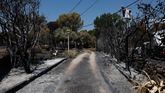 Los bomberos tratan de arreglar el tendido eléctrico en Robledo de Chavela este miércoles.