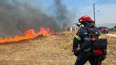 Las llamas amenazan Atenas: miles de bomberos luchan contra los incendios en toda Grecia