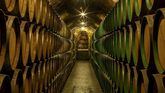 Bodega Marqués de Riscal