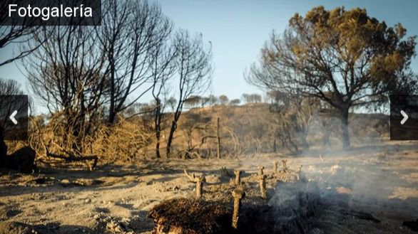 Galería. Las imágenes del incendio que amenaza Doñana