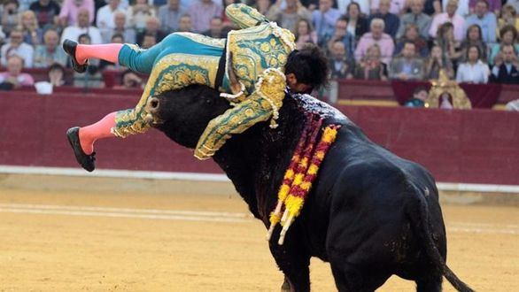 Cayetano, herido por asta de toro en el muslo en la Feria del Pilar